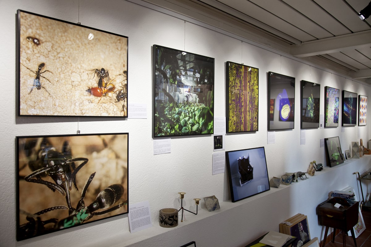 Exposition collective Fig.1a (UNIL), La Sonnette, Lausanne, 2018