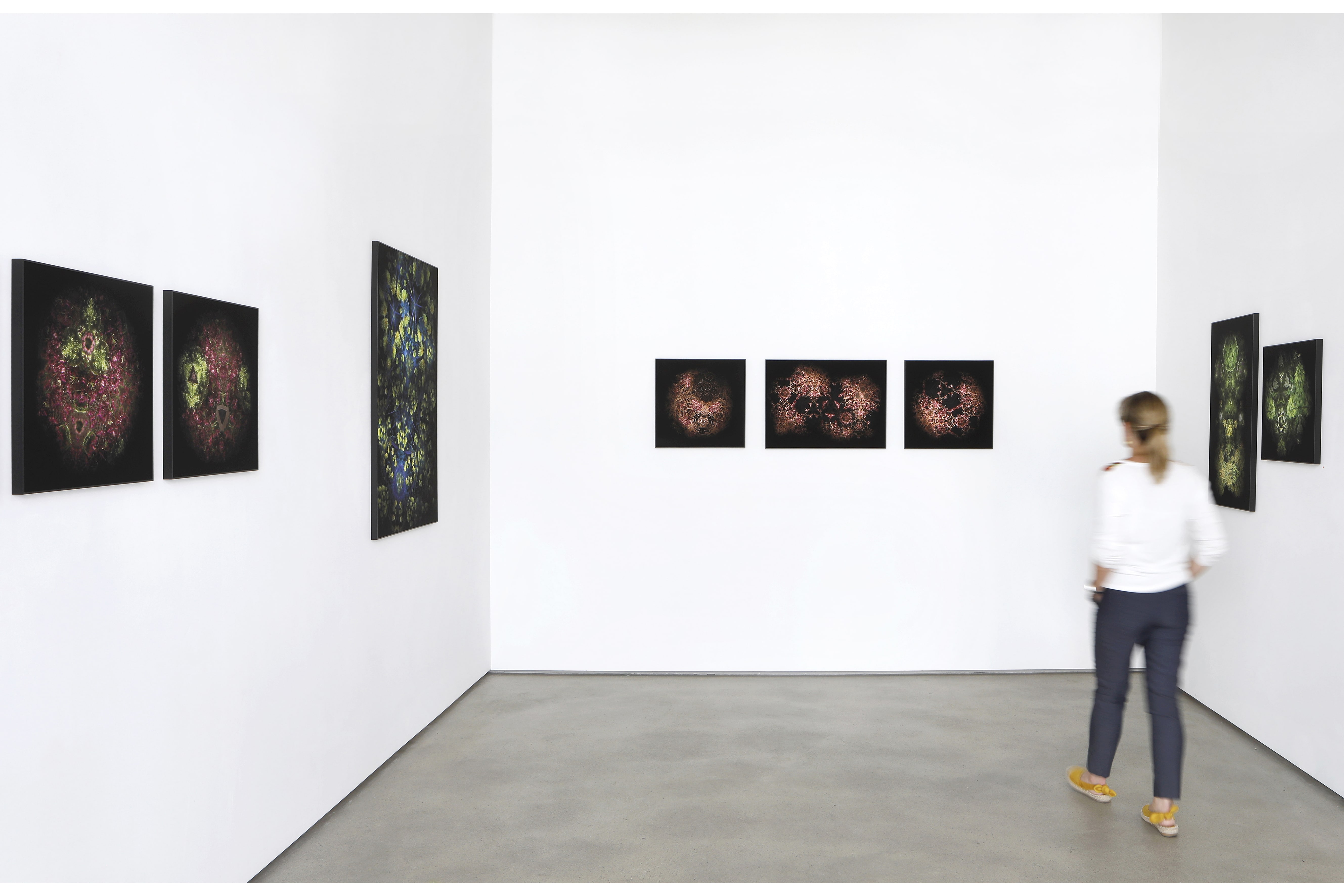 Zuzanna Bolle, "Jardins Ephémères", CdAC, 2019