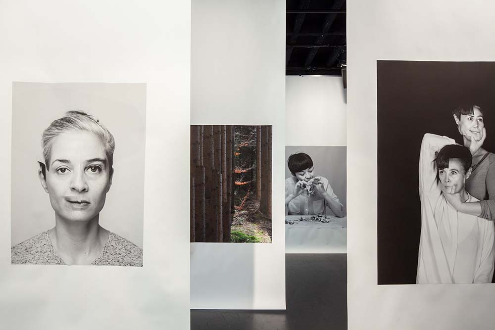 Loan Nguyen & Virginie Otth, "DUPLI-CATA", Arsenic, Lausanne, 2018